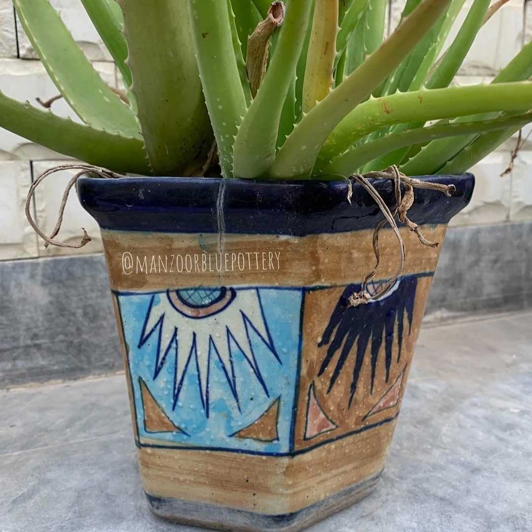 Palm Bowl